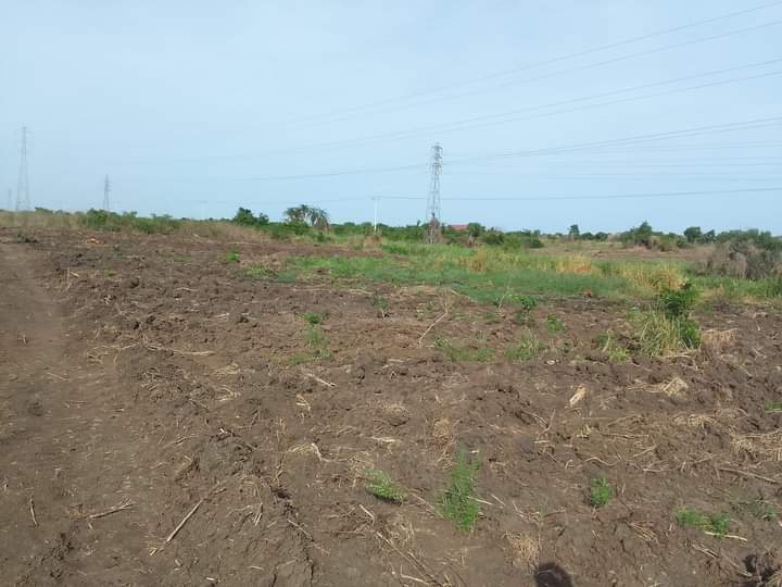 go property link, land, house for sale,and for rent